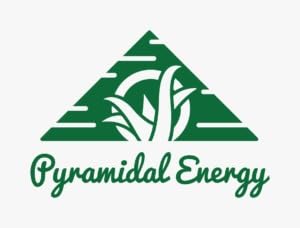 Aloe Vera Gel. Skin care. Lotion. Natural Gel 250 ml (98% Pure Aloe Vera Juice). 100% Pure Aloe transparent Gel Natural de Aloe Vera (organico) 98%. (8.4 Oz)