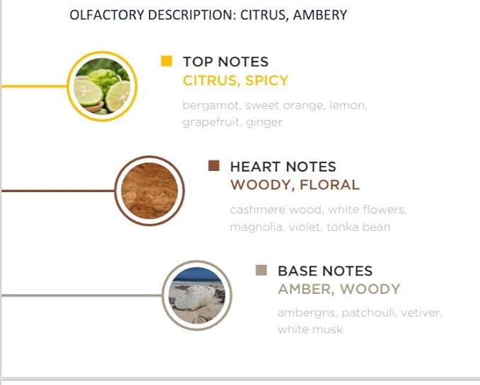 Jade Royale - Arabian Perfume for Women and Men, Extrait de Parfum Mens Cologne with Bergamot Sweet Orange Lemon- Cashmere Wood, Tonka Bean- Ambergris White Musk Patchouli Perfume 100ml