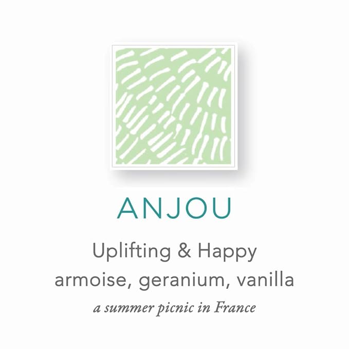 Zents Hand & Body Wash (Anjou Fragrance) | Hydrating Anti-Aging Cleanser with Organic Shea Butter & Aloe for Dry Skin | Gentle & Nourishing | 10 fl oz