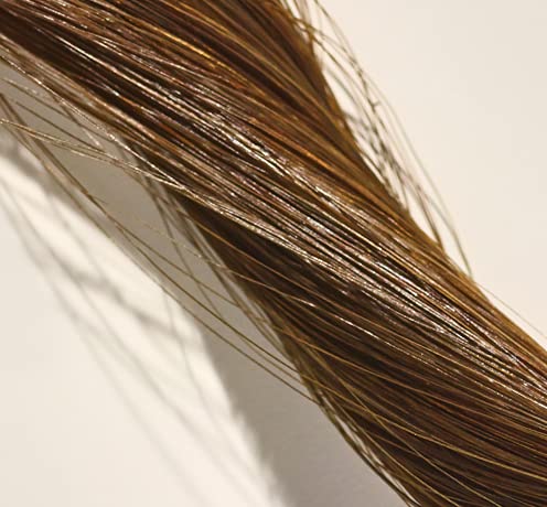 Volition Beauty Mission Brows - Eyebrow Replacement/Eyebrow Wig | Realistic, Long-lasting, Mink-free | Light Brown