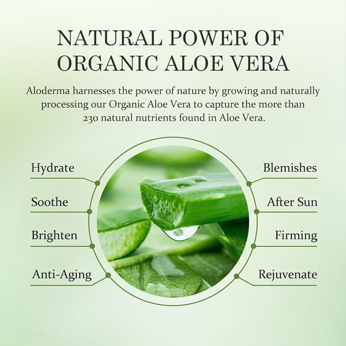 Aloderma Soothing Face Serum with 65% Organic Aloe Vera - Freshly Harvested Aloe for Sensitive Skin with Beta-Glucan & Arginine - Calming, Nourishing & Revitalizing Facial Serum for Clean Skin, 1.7oz
