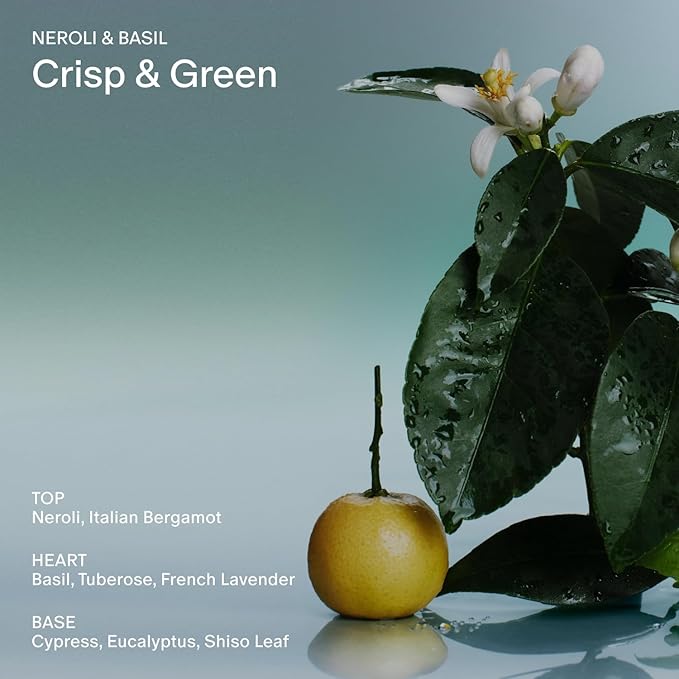 Salt & Stone Body Mist, Neroli & Basil Scent, Skincare Infused Perfume Hair & Body Spray for Women and Men, Hydrating Fragrance with Glycerin and Red Algae, Vegan, Cruelty Free, 3.4 fl oz