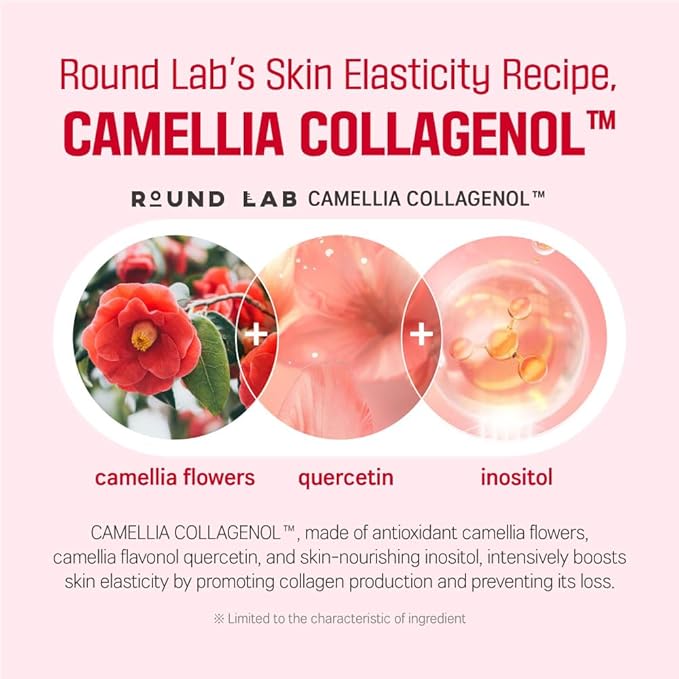 ROUND LAB Camellia Deep Collagen Firming Cream 1.69 Fl Oz, Elasticity-Enhancing Face Moisturizer with Multi-Collagen for Long-lasting Hydration, Smooth and Firm Skin, Pore Tightening, Korean Skincare