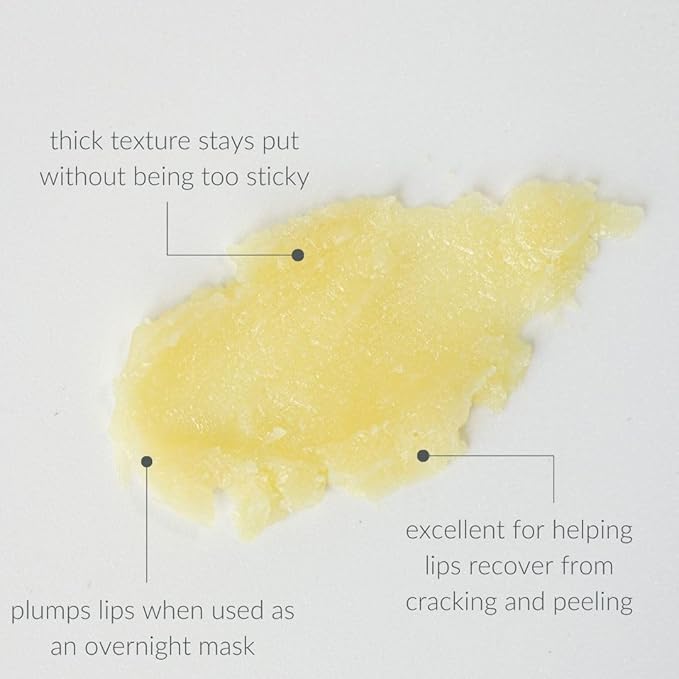 Osmia Skincare - Natural Lip Repair Overnight Mask + Hydrating Gloss | Manuka Honey, Myrrh, Lanolin | Moisturize, Plump, Soothe | Clean Beauty For Healthy Skin (0.28 oz | 8 g)