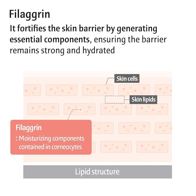 AESTURA ATOBARRIER365 Lotion Plus with Ceramide & Filaggrin | Lightweight Moisturizer, Skin Barrier Strengthening