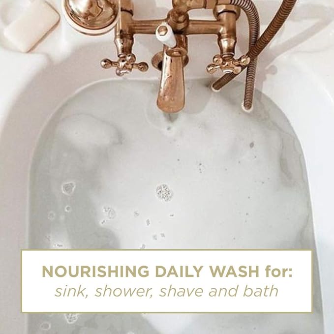 Zents Hand & Body Wash (Anjou Fragrance) | Hydrating Anti-Aging Cleanser with Organic Shea Butter & Aloe for Dry Skin | Gentle & Nourishing | 10 fl oz