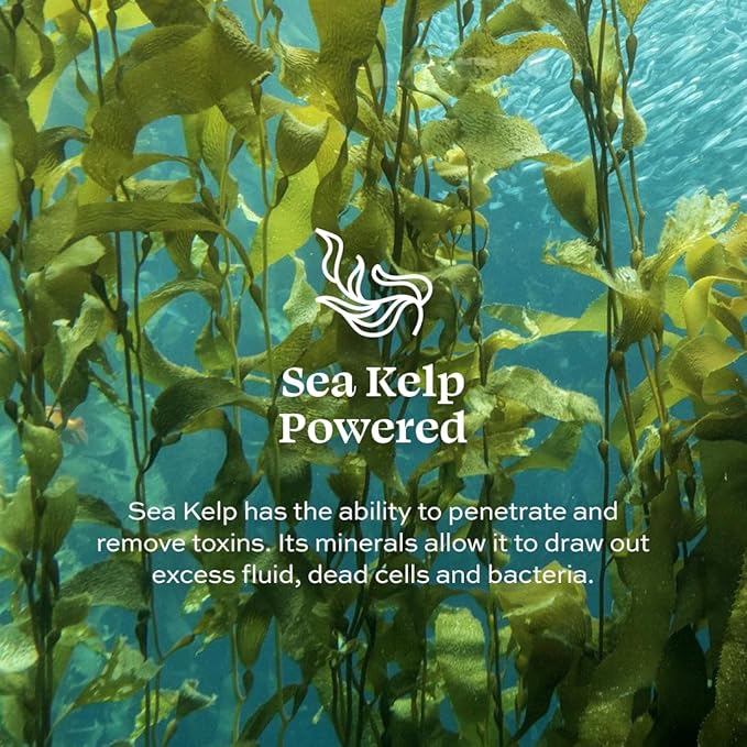 Aleavia Grapefruit Lemongrass Prebiotic Body Lotion – Lightly Scented, All-Natural Moisturizing Body Lotion with Organic Essential Oils – 12 Oz