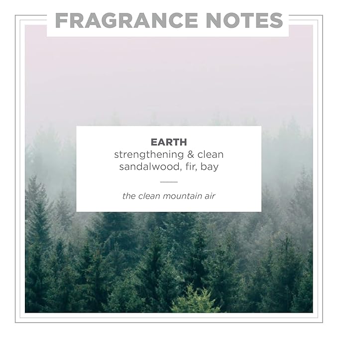 Zents Hand & Body Wash (Travel Size - Earth Fragrance) | Hydrating Anti-Aging Cleanser with Organic Shea Butter & Aloe for Dry Skin | Gentle & Nourishing | 1 fl oz | TSA Approved