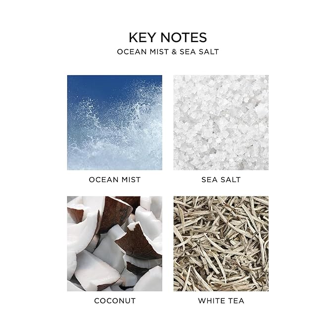 NEST New York Liquid Soap, Ocean Mist & Sea Salt - 10 fl oz - Cleanses & Nourishes Skin - Approx. 300 Pumps Per Bottle - Gluten Free & Cruelty Free