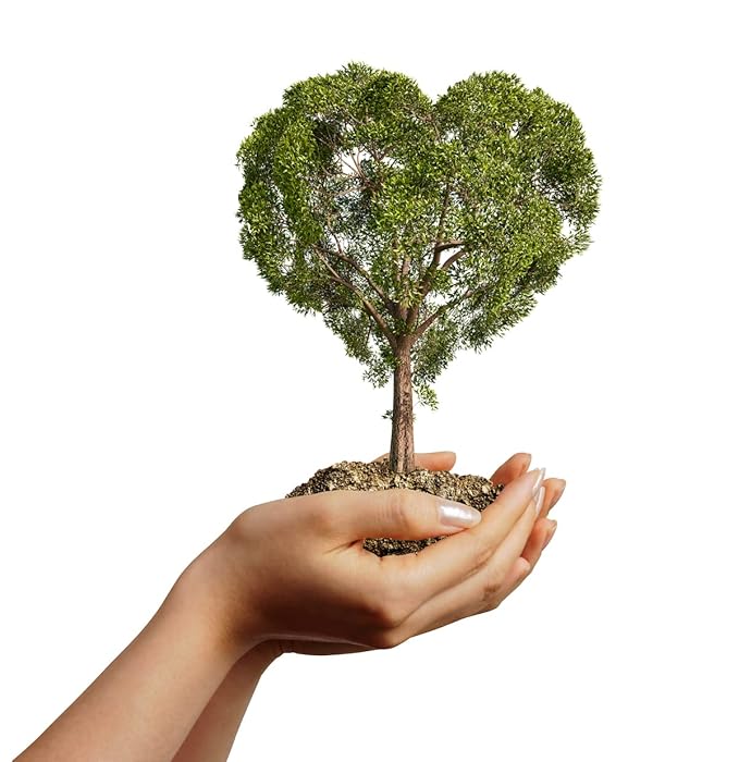 All Natural Persimmon Ginseng Deodorizing Soap with Organic Eucalyptus and Lemongrass Essential Oils