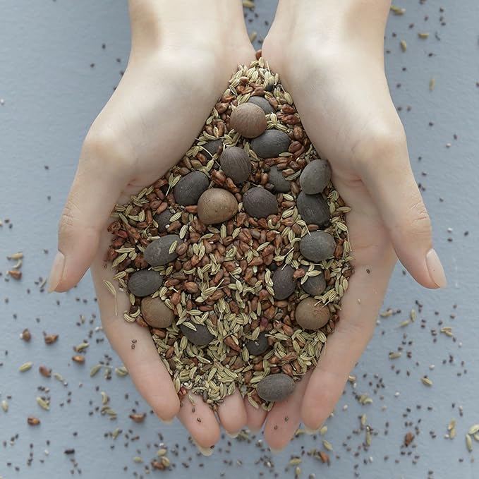 Blithe Vital Treatment 9 Essential Seeds Niacinamide Toner - Korean Skin Essence Green Tea Toner for Face, Clarifying Oily Skin Vitalizing & Dark Spots 1.83 Fl Oz