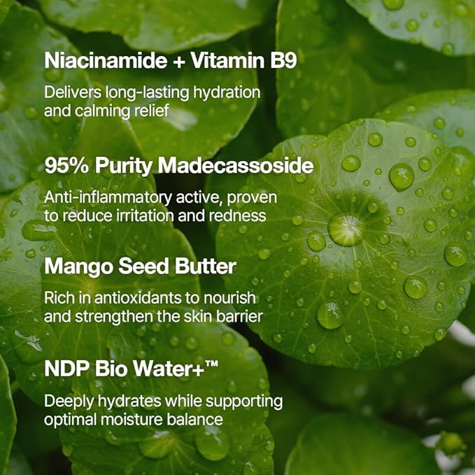 NDP Vitamin B9 Tone-up Cream, Silicone Free Face Primer for Pore Minimizing, Breathable Skin Formula, Glass Skin & Lightweight, Vegan Clean K-Beauty, 95% Purity Madecassoside (65ml / 2.19 Fl Oz)