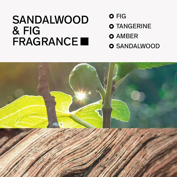 Aluminum-Free Deodorant for Men by Bravo Sierra, 1-Pack - Contains Natural Ingredients – Long Lasting All-Day Odor and Sweat Protection -Sandalwood and Fig, 3.2 oz - Paraben-Free, Vegan & Cruelty-Free