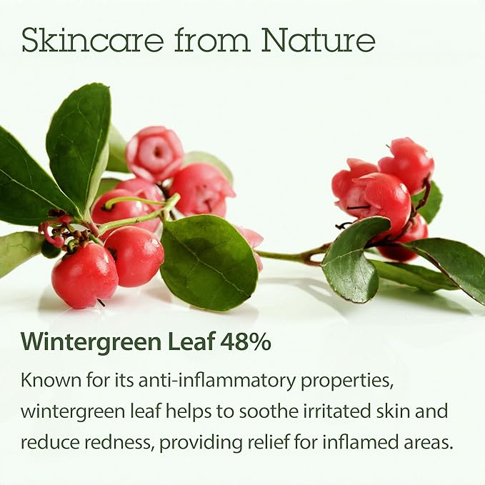 Blithe Korean Skin Care Products 6 Leaves Clear Essence for Rosacea & Redness Relief, BHA Toner Cooling Moisturizer for Face, Blackhead Treatment, Evening Primrose Wintergreen Green Tea 1.83 Oz