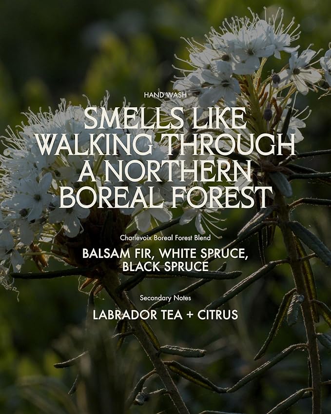 Hand Wash - soap-free, non-stripping, microbiome-friendly micellar cleansing wash that cleans effectively without drying