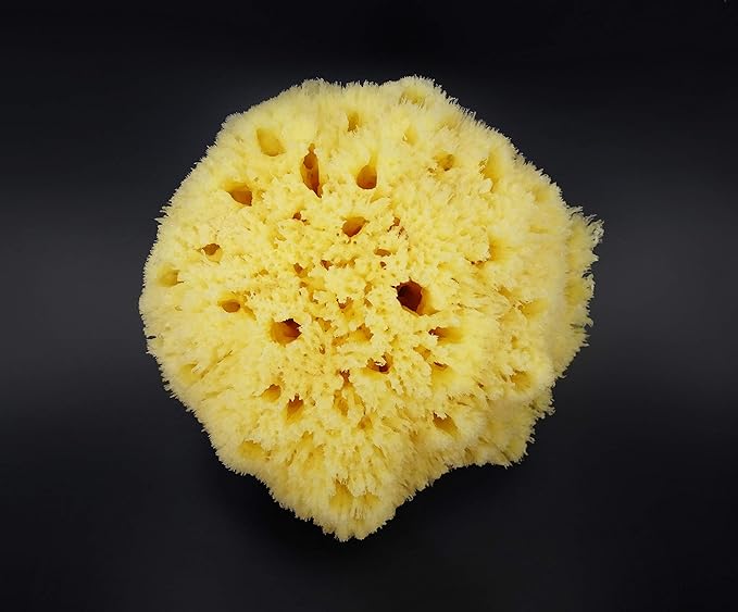 Real Sea Sponge for Men - Extra Large 6"-7", Totally Natural, Kind on Skin for an Invigorating Shower, Supplied in Breathable Mesh Bag. Great for The Gym, Grooming, Bath & Body Gift by Constantia Man