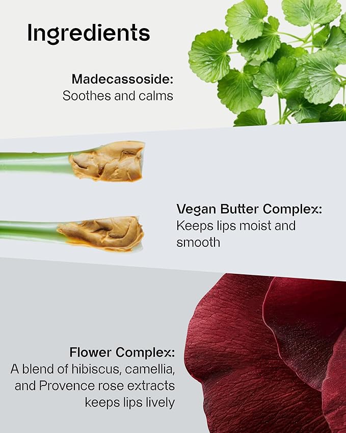 Sensual Vegan Lipstick Blur (01 Pleasure, 0.12oz) - Long-Lasting Formula, Lightweight Matte Lipstick, Korean Makeup. Shea Cocoa Butter, Vegan.