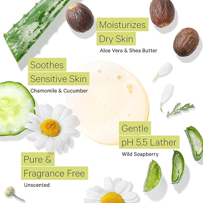 Tree to Tub Unscented Body Wash for Sensitive Skin & Dry Skin - Moisturizing pH Balanced Fragrance Free Body Wash, Hydrating Sulfate Free Body Soap for Women & Men w/Organic Shea Butter, Natural Aloe