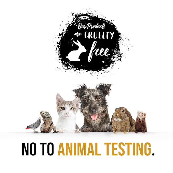 French Vanilla Bath Set Essential Bath and Body Basket: 2 Vanilla Bath Bombs, Body Lotion, Body Spray, Bath Salts, etc in a Wooden Jewelry Box Mother’s Day Gift for Mom