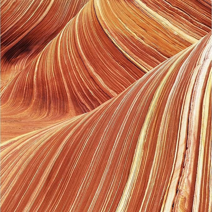 Men's Cologne Fragrance Spray by Curve, Casual Day or Night Scent, Spicy Wood Magnetic Scent, 4.2 Fl Oz