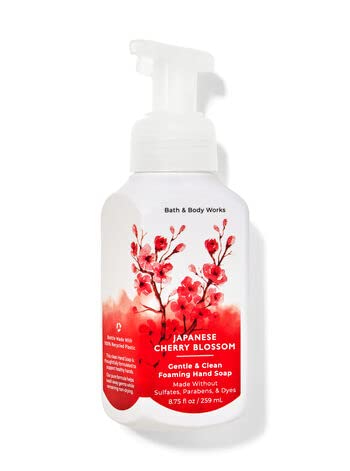 Bath and Body Works Foaming Hand Soaps - Set of 5 Gentle Foaming Soaps (Fresh & Fruity)