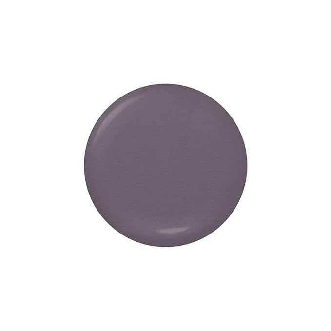 Dazzle Dry Mini Kit 4 Step System - Anticipation, an opaque dark slate gray with purple undertones. Full coverage cream. (5 Piece Kit / 5 Manicures)