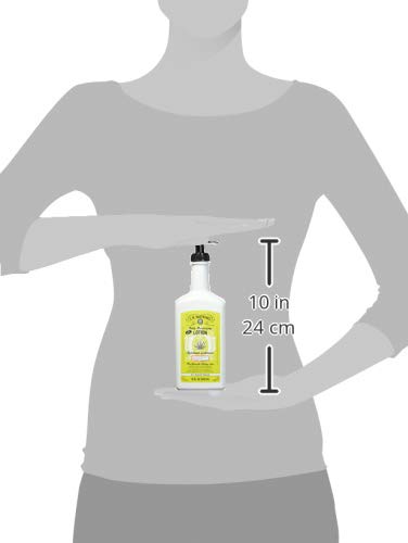 Atkins Jr Watkins Aloe and Green Tea Daily Moisturizing Lotion, 18 Ounce