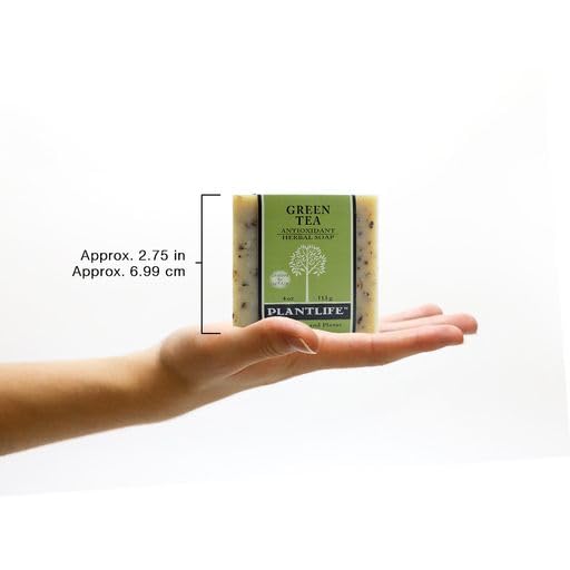 Plantlife Green Tea Bar Soap - Moisturizing and Soothing Soap for Your Skin - Hand Crafted Using Plant-Based Ingredients - Made in California 4oz Bar