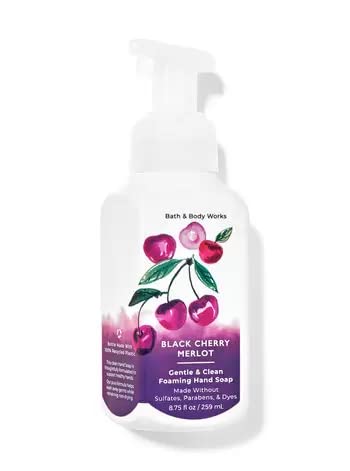 Bath and Body Works Foaming Hand Soaps - Set of 5 Gentle Foaming Soaps (Fresh & Fruity)