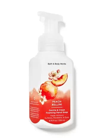 Bath and Body Works Foaming Hand Soaps - Set of 5 Gentle Foaming Soaps (Fresh & Fruity)