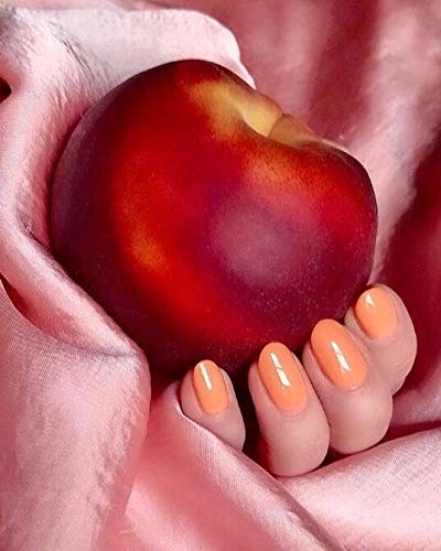 Vishine 24 PCS Soak Off UV Gel Nail Polish Plain Range - 22 Color Gel Polish & No Wipe Base and Top Coat Starter Set 02