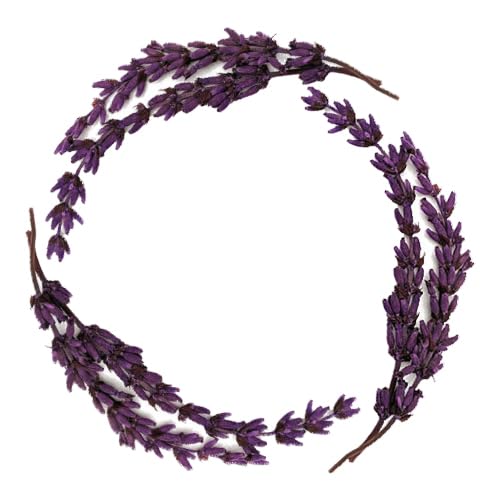 Arm & Hammer 6 Pack Liquid Hand Soap for Skin Cleaning - Cleanser for Kitchen & Bathroom with Lavender Vanilla Scent - Natural Hand Soap Cleanses, Softens 14 FL Oz (414ml)