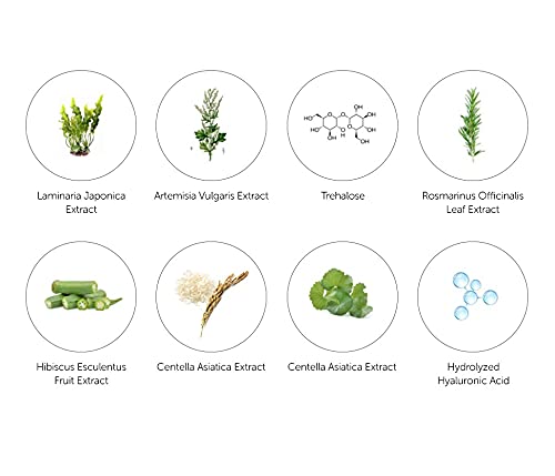 DearKlairs] Fundamental Water Gel Cream 2.36 fl oz | Vegan, Jeju Green Tea Water and Panthenol