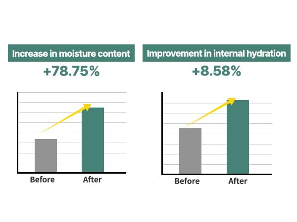 AQUA SQUALANE MOISTURIZING CREAM | Face Moisturizer for Dry and Sensitive Skin, Long-lasting Hydration, Pore Care Cream, Korean Skin Care (2.03 Fl Oz, 60ml)