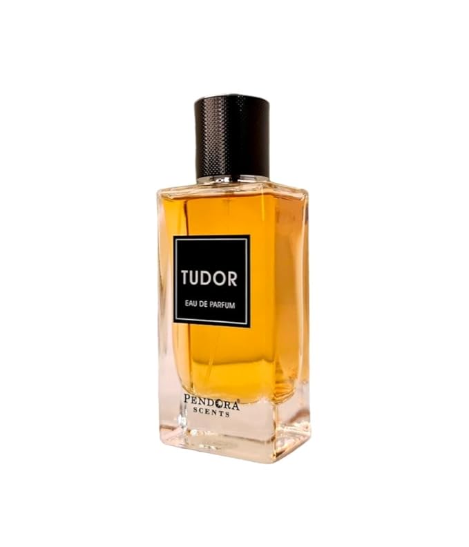 Paris Corner TUDOR Men’s Perfume 3.4 Fl Oz EDP Perfumes