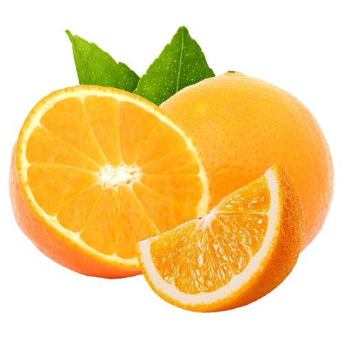 Arm & Hammer 6 Pack Liquid Hand Soap for Skin Cleaning - Cleanser for Kitchen & Bathroom with Orange Citrus - Natural Hand Soap Cleanses, Softens 14 FL Oz (414ml)