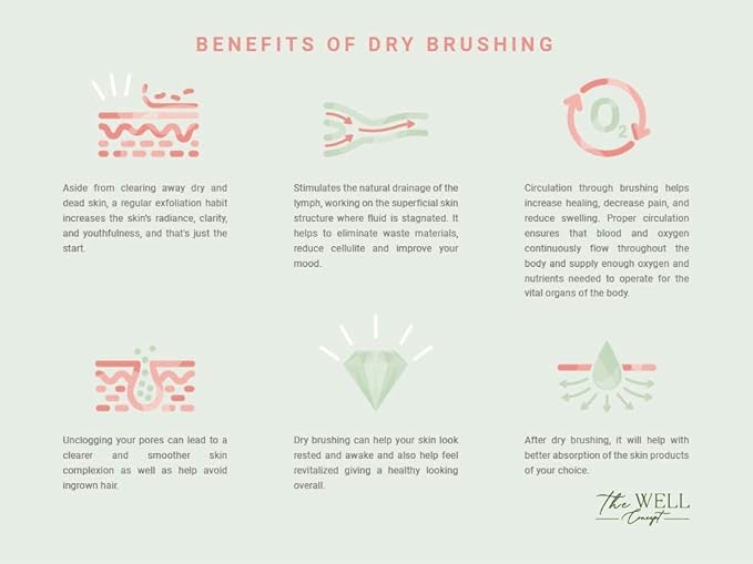 Body & Face Dry Brush Set