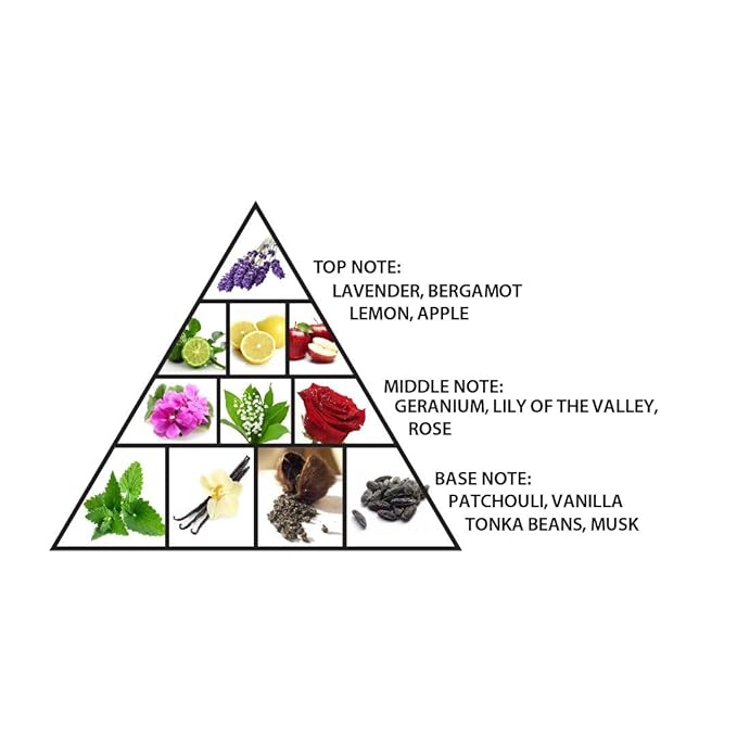 Al Haramain Amber Oud - Palm Dubai for Unisex - Arabian Perfume for Women and Men - Long Lasting Woody Fragrance - Arabic Cologne - Extrait De Parfum - 3.33 oz EDP Spray