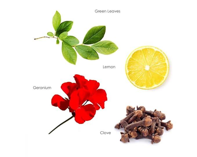 Gilchrist & Soames London Hand Wash - 15.5oz - Antioxidant Rich, Gently Cleansing, Zero Parabens, Sulfates, and Phthalates