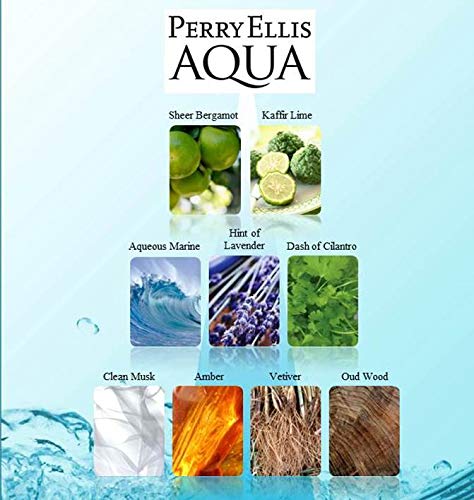 Perry Ellis Aqua Eau De Toilette Spray for Men, 3.4 Ounce