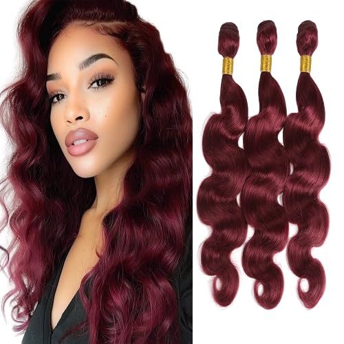 Color 99j Body Wave Bundles Human Hair Burgundy Body Wave Bundles 8a Grade Double Weft Brazilian Human Hair Wet and Wavy Soft Silky for Black Women 10 12 14 Inch