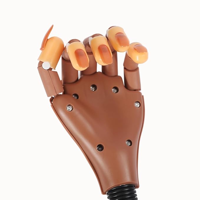 Practice Hand For Acrylic Nails Adjustable Flexible Nail Practice Hands Training Movable Nail Manicure Hand with 300 Brown Nail Tips and 1pc File 1pc Brush 1 pc Nail Buffer and 1 pc Clipper
