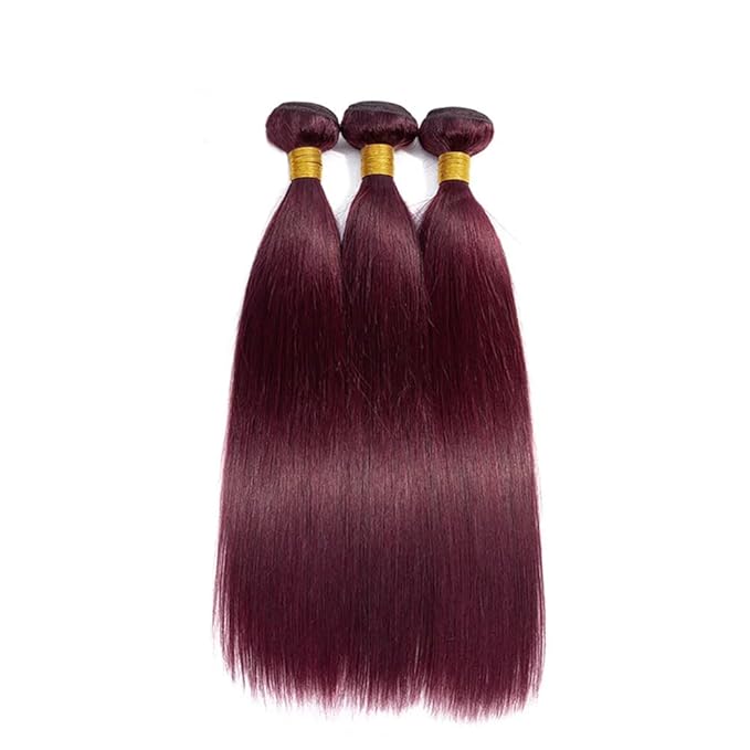 Burgundy Straight Bundles Human Hair Color 99j Straight Bundles Human Hair Wine Red Brazilian Wet and Wavy Soft Silky for Woman 10 12 14 Inch