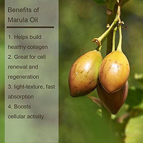 Luseta Marula Oil Shampoo & Conditioner Set, for Fine and Dry Hair, 2 x 16.9 Oz