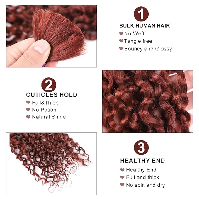 Reddish Brown Water Wave Human Braiding Hair No Weft 100g (1Pack-2Bundles) 100% Brazilian Virgin Human Bulk Hair Micro Braiding Human Hair For Boho Braids (Water Bulk (Reddish Brown), 24 Inch)