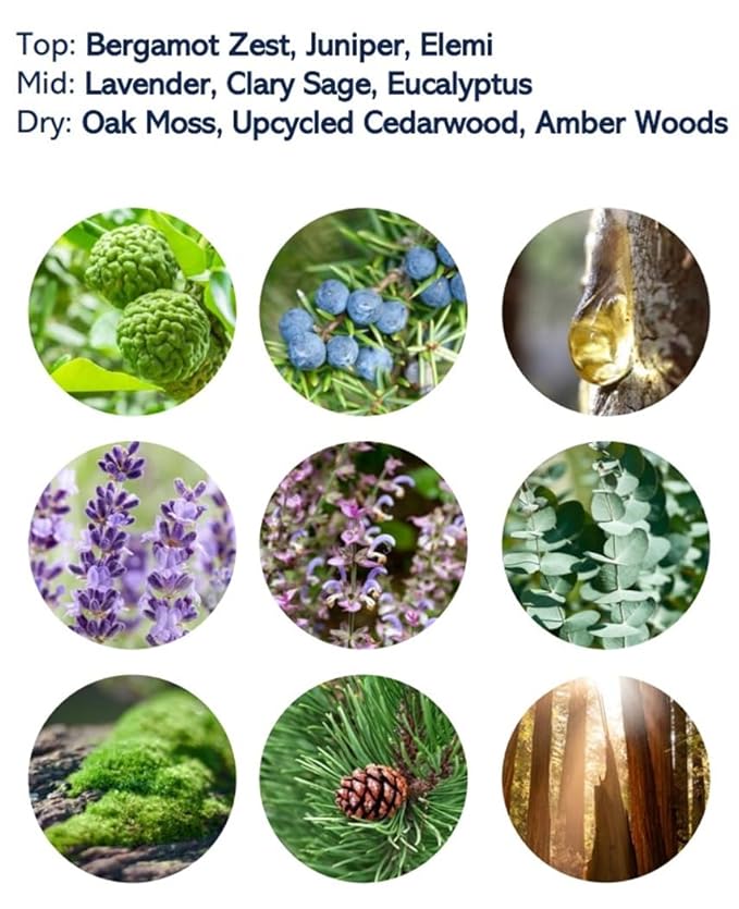 US Polo Association USPA for Men - 4-Piece Gift Set