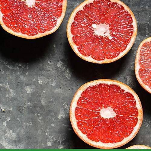 Botanic Tree Double Face Wash Kit - Gentle Facial Cleanser Set of Glycolic Acid Exfoliator Facewash And Vitamin C Cleanser for Women, Men - Natural Exfoliating Scrub Set for Oily, Dry, Sensitive Skin