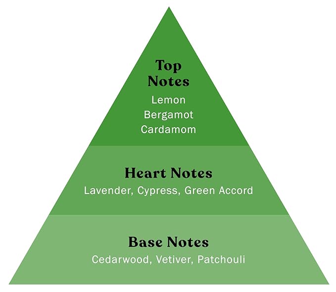 Grooming Lounge Men's Fagrances Eau de Best Perfume for Men - Features Energizing Notes of Lemon Bergamot Cardamom and Patchouli - Travel Size Perfume 3.4oz (You're So Money)