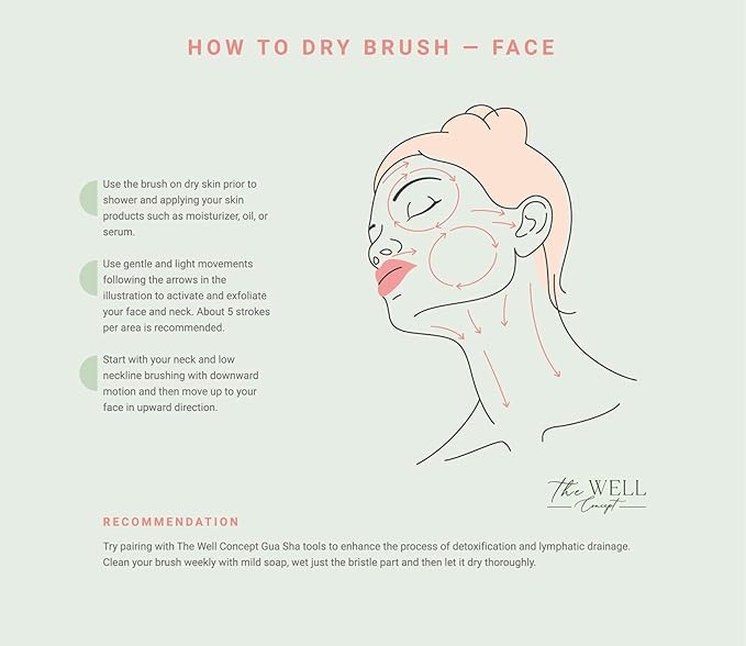 Body & Face Dry Brush Set