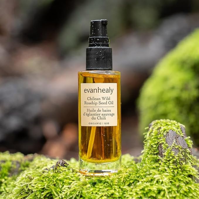 evanhealy Chilean Wild Rosehip Seed Oil | 100% Pure Wild-Harvested Certified Organic Rosehip Oil | Lightweight Facial Oil Dry Oil | Beautify & Rejuvenate All Skin